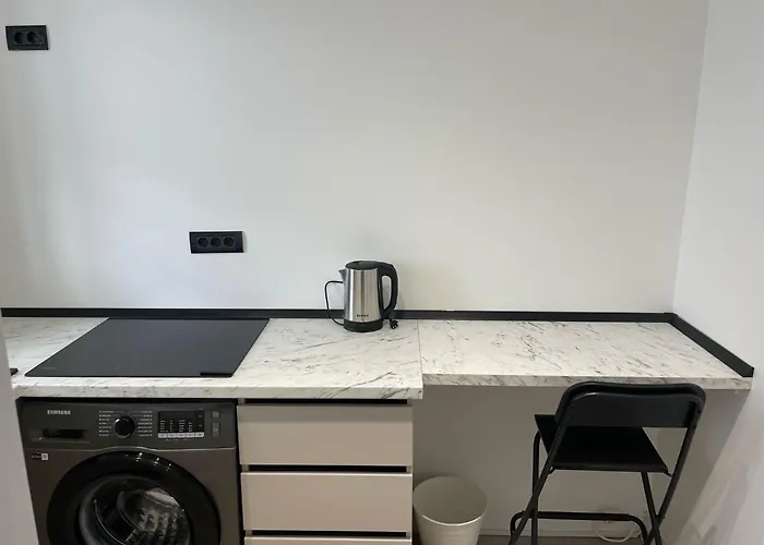 Fancy 1 Bdrm Apartment In Center